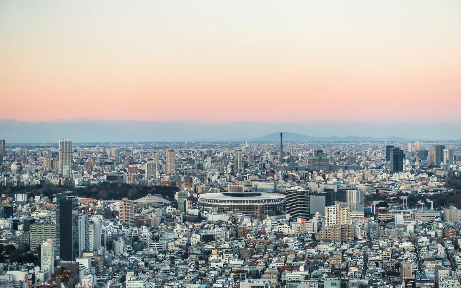 About Shibuya Sky — Tokyo's Newest Icon